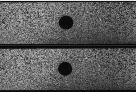 Fig. 1 – Images en niveaux de gris : (gauche) image de référence f (x), (droite) image sous charge g(x).