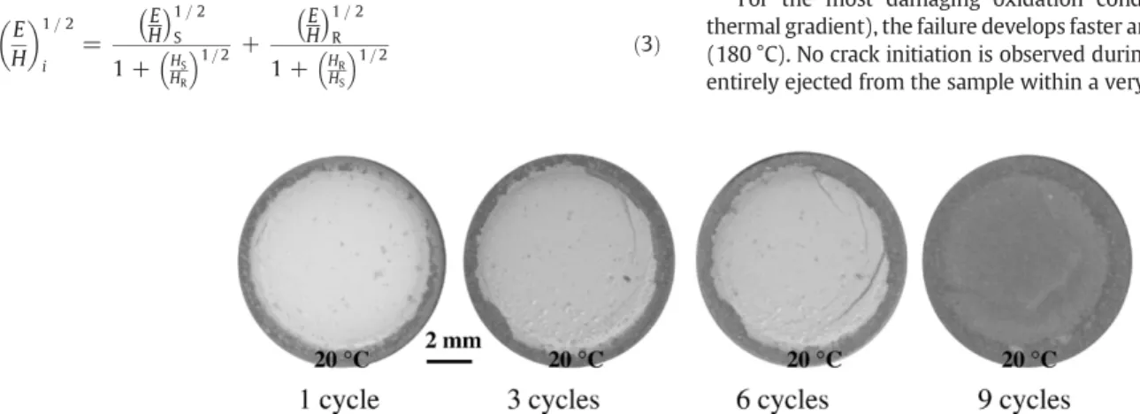 Fig. 4. Cumulative damage of a sample oxidised at 1180 °C without thermal gradient (1 h cycles).