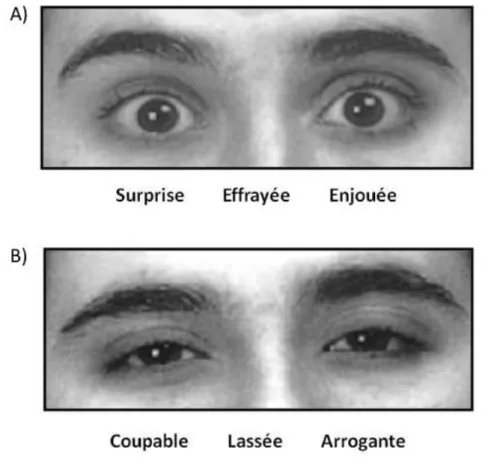 Figure  7 :  Exemples  de  regards  émotionnels  basiques  (A)  et  complexes  (B)  du  RMET  (Baron-Cohen et al., 2001)