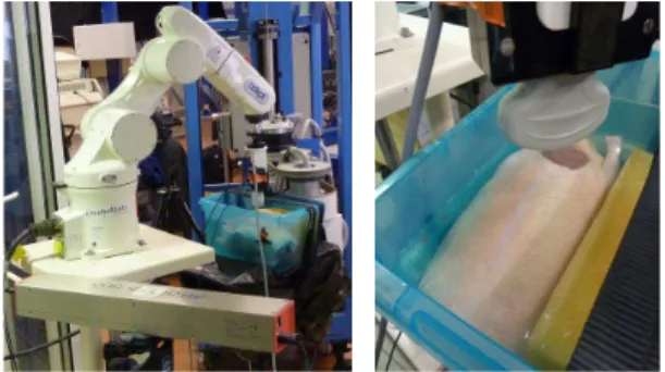 Fig. 1 Robotic setup (left) with the animal phantom (right). 