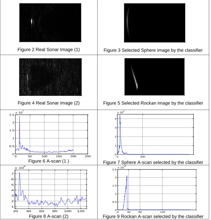 Figure 2 Real Sonar Image (1)  Figure 3 Selected Sphere image by the classifier