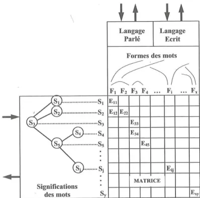 Figure 3. Matrice lexicale d’après Miller (1996), tiré de Spinelli &amp; Ferrand (2005)