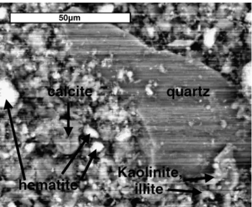 Fig. 5. Cartography of the ochre no. 32V, obtained by SEM in BSE mode coupled to EDS.