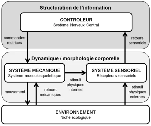 Figure 10 : Inter-relations entre facteurs physiques et informationnels (adapté de  Hoffmann &amp; Pfeifer, 2011)