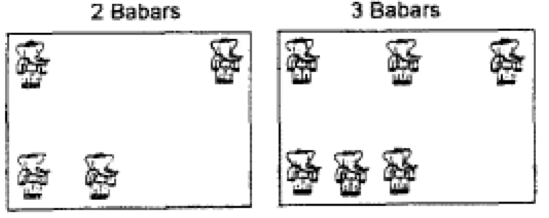 Figure  10.  Cartes  utilisées  par  Houdé  (1997)  pour  évaluer  l’interférence  longueur  entre  longueur et nombre