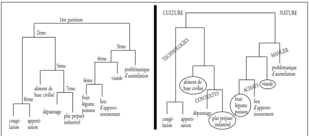 Figure 2. – La structure de l’arborescence (à gauche) et la répartition des classes  et des thématiques (à droite) (Masson et Moscovici, 1997).