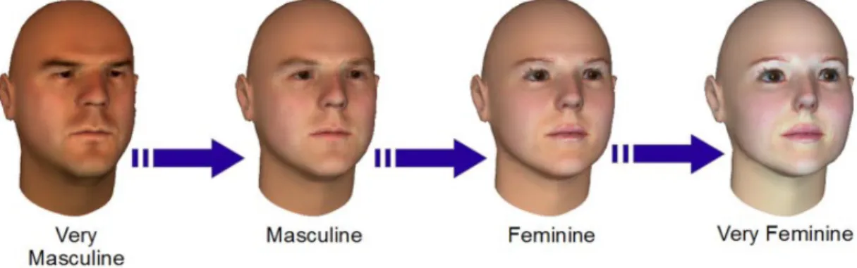 Figure  1: Le continuum de genre facial d’après Gilani, Rooney, Shafait, Walers, et  Mian  (2014, p
