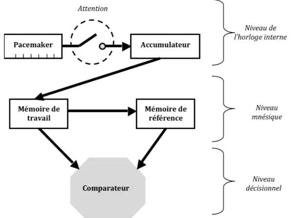 Figure 5 : modèle de traitement de l’information temporelle (Gibbon, Church &amp; Meck, 1984) 