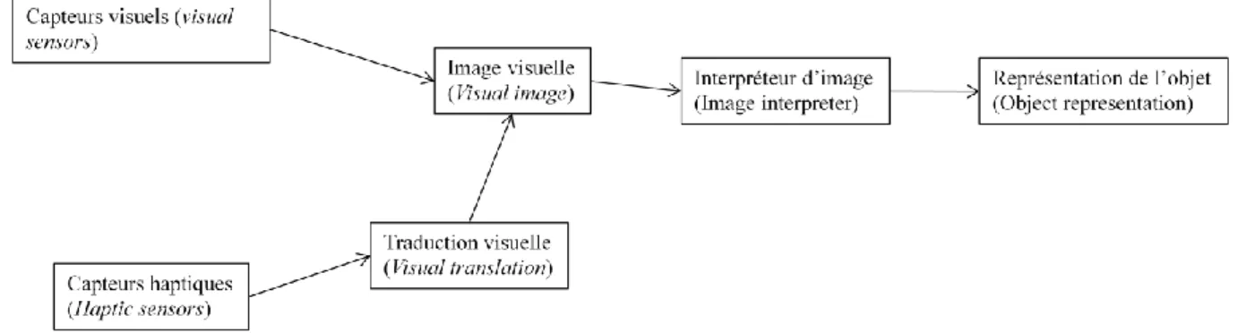 Figure  I.1.  Modèle  de  médiation  visuelle  (Klatzky  &amp;  Lederman,  1987 ;  Lederman  et  al.,  1990)  