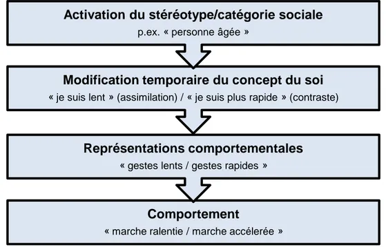 Figure  2 :  Les  différentes  étapes  entre  perception  (activation  d’un  stéréotype  ou  d’une  catégorie  sociale) et comportement selon la théorie du soi actif