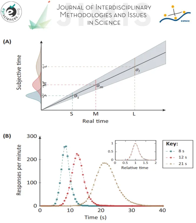 Figure 1 : Augmentation proportionnelle de la variance avec la valeur de la durée (A), et taux de réponse en  fonction de la durée du signal (B) (extraite de Shi, Church et Meck, 2013)