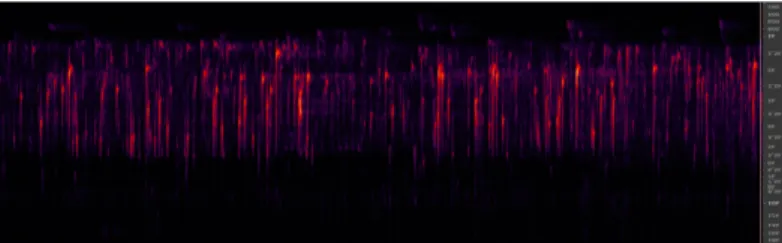 Figure 1 : Spectrogramme d'un son de gouttelettes, qui nous apparaît comme pur, entre 600 Hz et 12 KHz