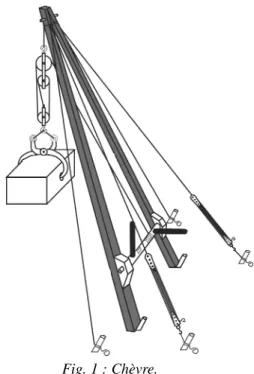 Fig. 1 : Chèvre.