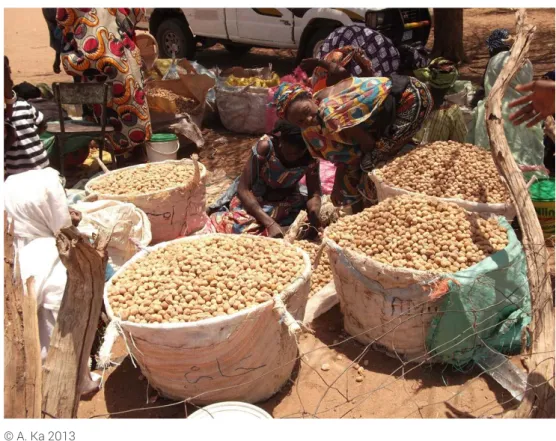 Figure 4 : La vente de fruits de balanites egyptiaca au marché hebdomadaire de Widou Thienoly