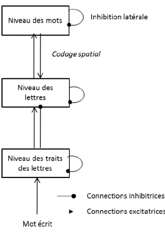 Figure 2. Représentation du modèle de codage spatial d’après Davis (2010)  