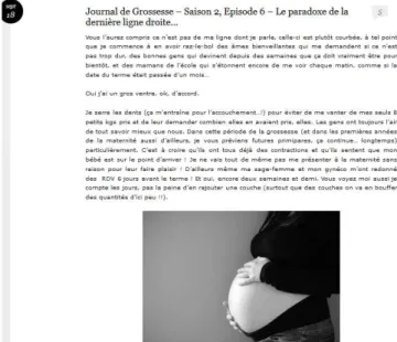 Figure 2 : Capture d’écran « Journal de Grossesse – Saison 2, Episode 6 – Le paradoxe de la dernière ligne  droite… », Desperatecouchpotatoe, 18 septembre 2014