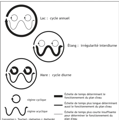 Figure 2 L’étang défini par ses échelles temporelles  Digression pédagogique de vulgarisation scientifique : la grimace de l’étang 