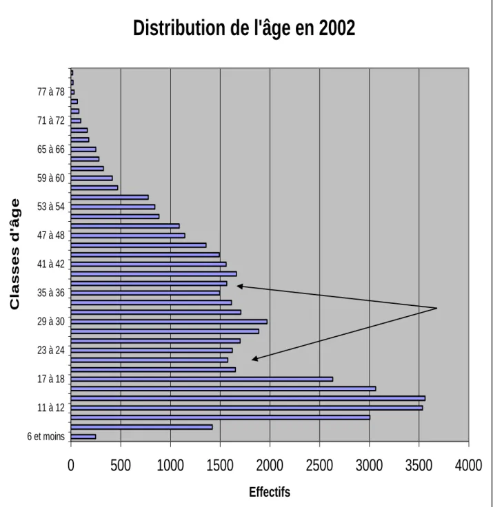 Tableau n°10 : Distribution de l’âge  -  Distribution de l'âge en 2002 0 500 1000 1500 2000 2500 3000 3500 40006 et moins11 à 1217 à 1823 à 2429 à 3035 à 3641 à 4247 à 4853 à 5459 à 6065 à 6671 à 7277 à 78Classes d'âge Effectifs