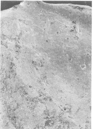 Fig.  17  —  Casque  d'Agris. Face A,  milieu du  bord supérieur. 