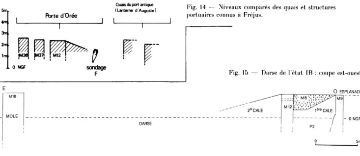 Fig.  14  —  Niveaux comparés des  quais et  structures  portuaires connus à  Fréjus. 
