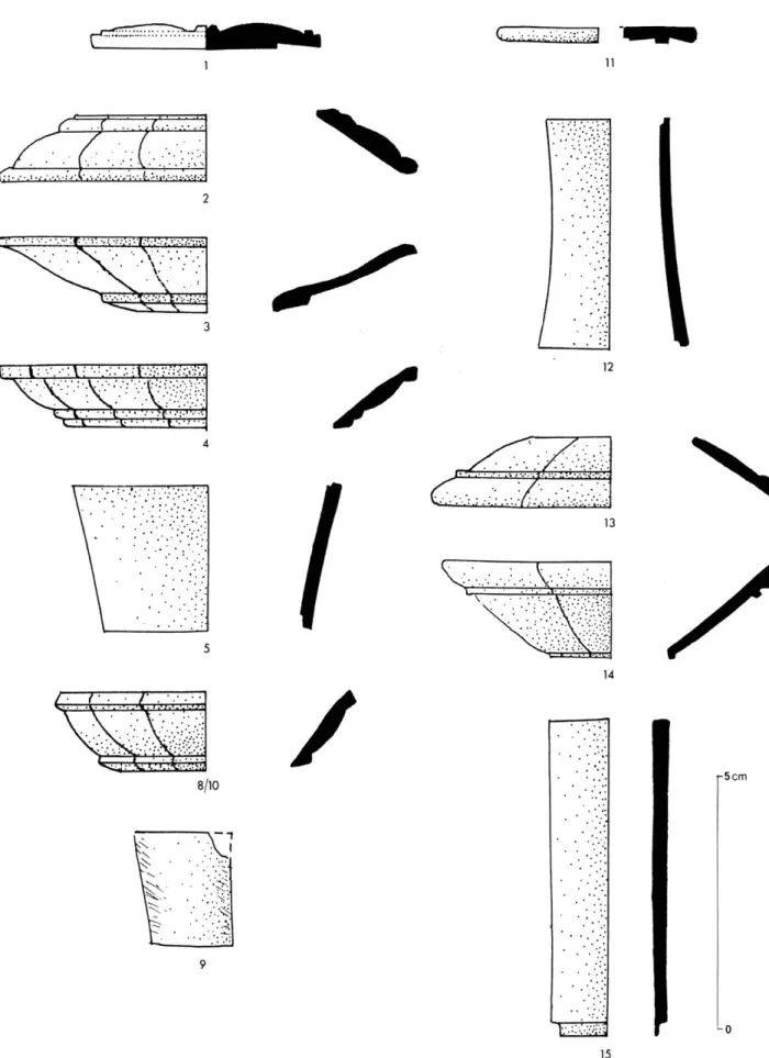 Fig.  1  —  Éléments n°3  1  à 5 et  8  à  15 du  pied. 