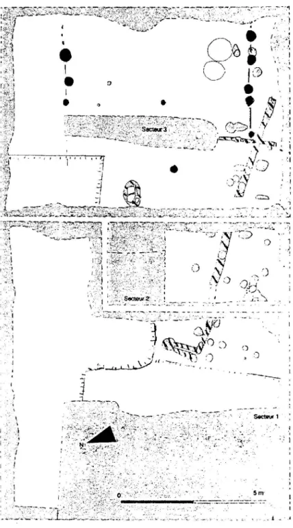 Fig_  l  Auch,  Cougeron,  plan  général  des  structures  pré-augustéennes 