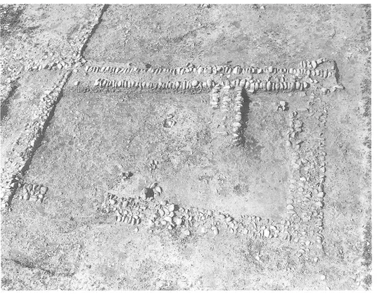 Fig.  10. Détail de la partie méridionale  de Négreiron -Négrès 7 :  photo prise du  sud