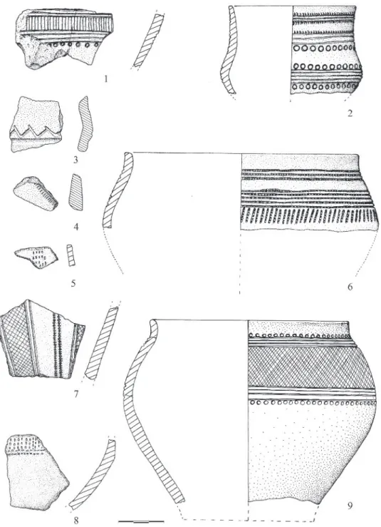 Fig. 2 – Roc d’en Gabit, Carcassonne (Aude). Formes céramiques restituables et tessons décorés dans le style épi- épi-campaniforme provenant du fossé d’enceinte de l’Âge du bronze ancien (dessin J