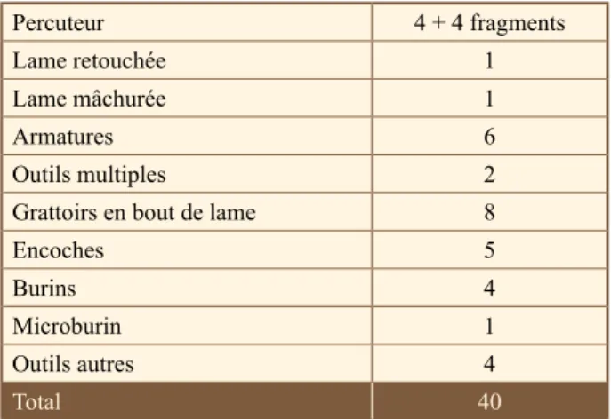 Table 4 – Proville (Nord), ‘le Bois Chenu’, inventory of tools  (excluding scars due to use).