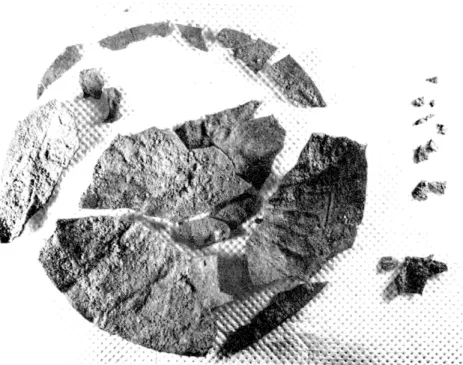 Fig.  110.  Coupe en argent 476, après nettoyage (eck.  1:2). 