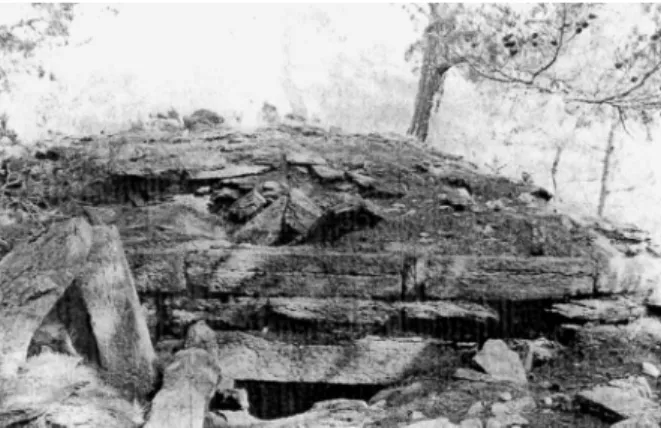 Fig. 16 : Vue générale du tumulus de Mutat Tepesi   Diler   Res  