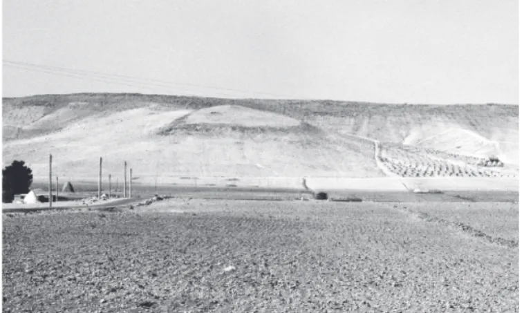 Fig. 10 – Rampe d’accès à Qal‘at al-Ra ˕ iyya,   vue vers le nord-ouest (photo M.-O. Rousset).