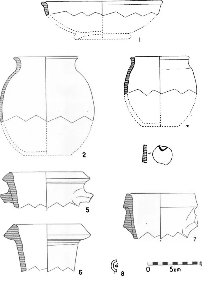 Fig .  2  :  Echantillon  de  mobilier  découvert  en  fouille  à  Montmerlhe  (  dessins  R.B,  ) • 