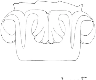 Fig. 8  :  Chapiteau fin  XIIe-XIIIe s.  (remployé dans les fortifica tions  fin XVIe)