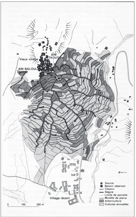 Fig. 3. Un ksour et son terroir : T’kout dans les Aurès (Côte 1988, 45-46, fig. 7).