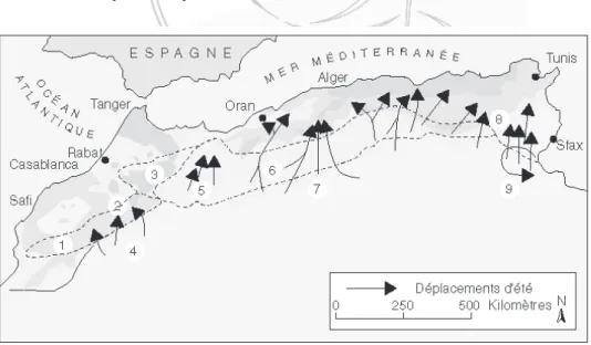 Fig. 9. Les mobilités pastorales régionales. 1. Haut Atlas occidental : petite transhumance estivale en  bergerie de haute montagne ; 2