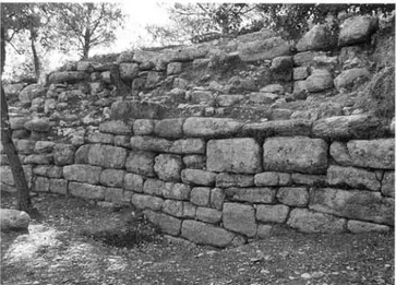Fig. 174 - CADENET, oppidum du  Castellar. Zona 8000  fondations de la courtine orientale, extrémité nord (D