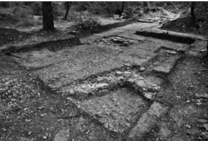 Fig. 175 – CADENET, oppidum du Castellar. Secteur 1, zone 10 : vue  vers le nord-ouest (cliché Ph