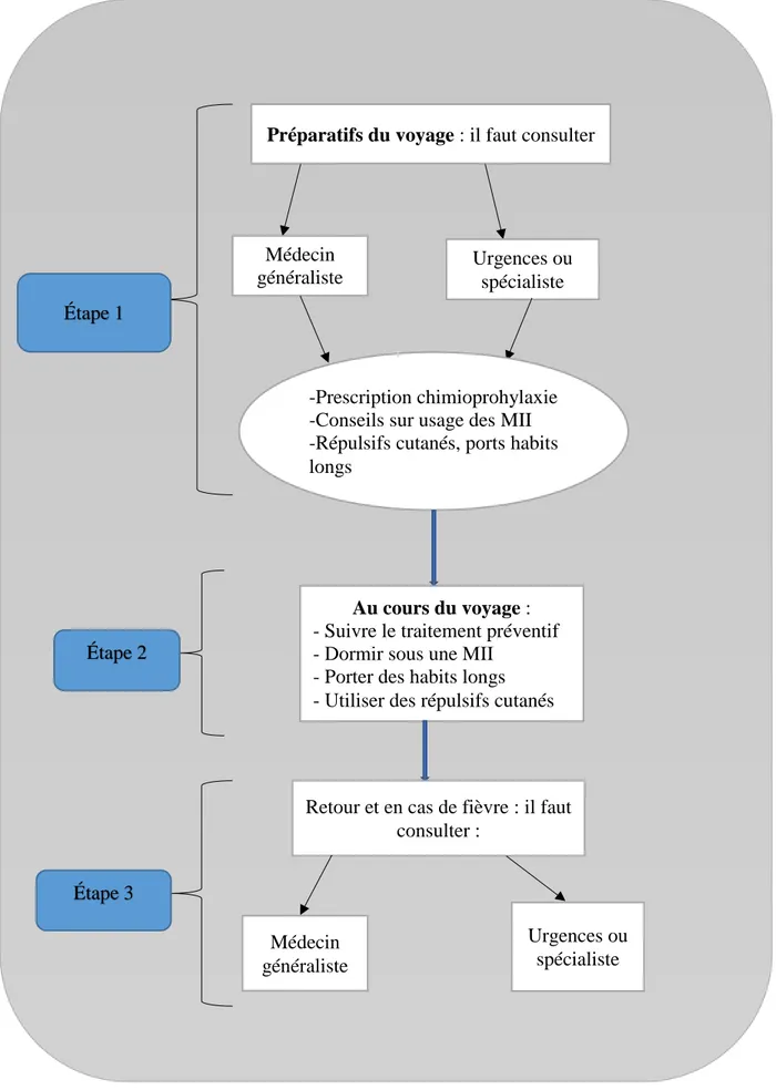 Figure 1: Schéma idéal de la prévention du paludisme 