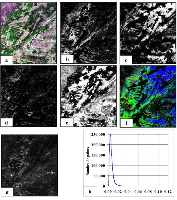 Figure 7 : Résultats de la méthode de l’AMSL utilisant les signatures prototypes de l’indice PPI : a) composé coloré de l’image ASTER (R = bande 2, V = bande 3, B = bande 1) ; b) proportion du chêne vert ; c) proportion du cèdre ; d) proportion de la végét