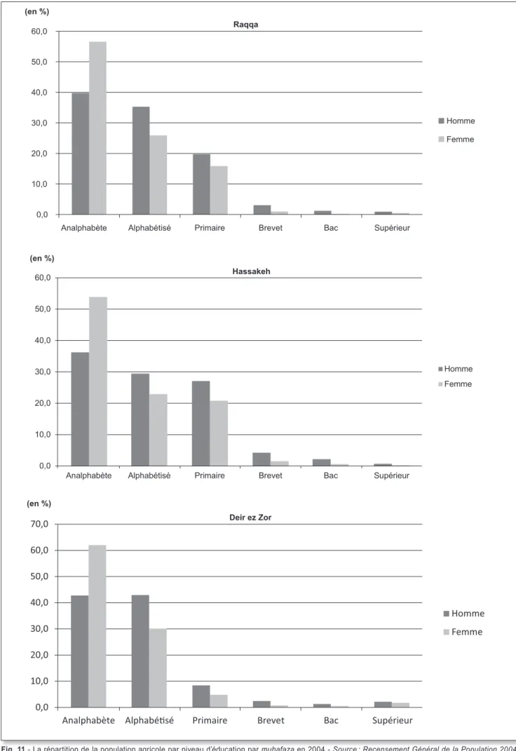 Fig. 11 - La répartition de la population agricole par niveau d’éducation par muhafaza en 2004 - Source : Recensement Général de la Population 2004,  Bureau Central des Statistiques, Damas.