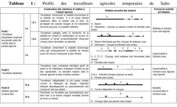 Tableau 1  : Profils des travailleurs agricoles temporaires de Salto 