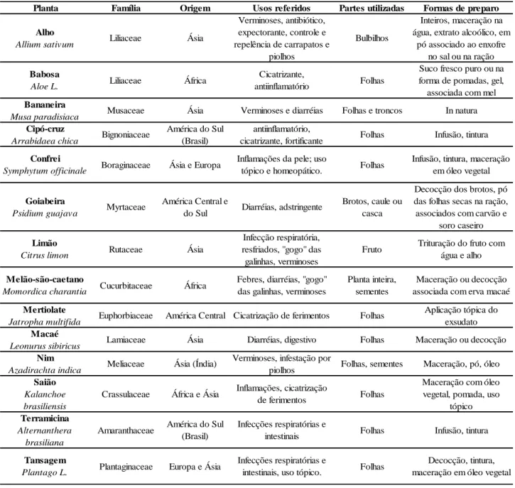 Tabela 1. Principais plantas medicinais utilizadas na avicultura caipira em sistema agroecológico