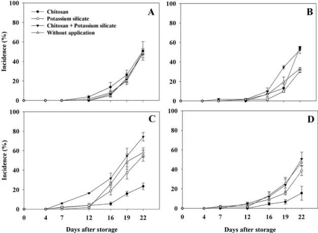 Fig. 1. Cumulative curve of incidence of gray mold in Experiment 1, showing rot incidence in fruits without additional chitosan treatment at postharvest (A) and in fruits treated with chitosan at postharvest (B)