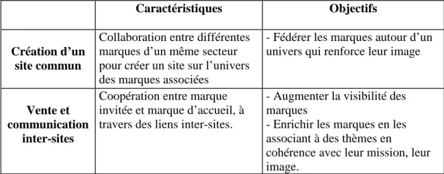 Tableau 2 : Stratégie d’alliances de marques sur Internet 