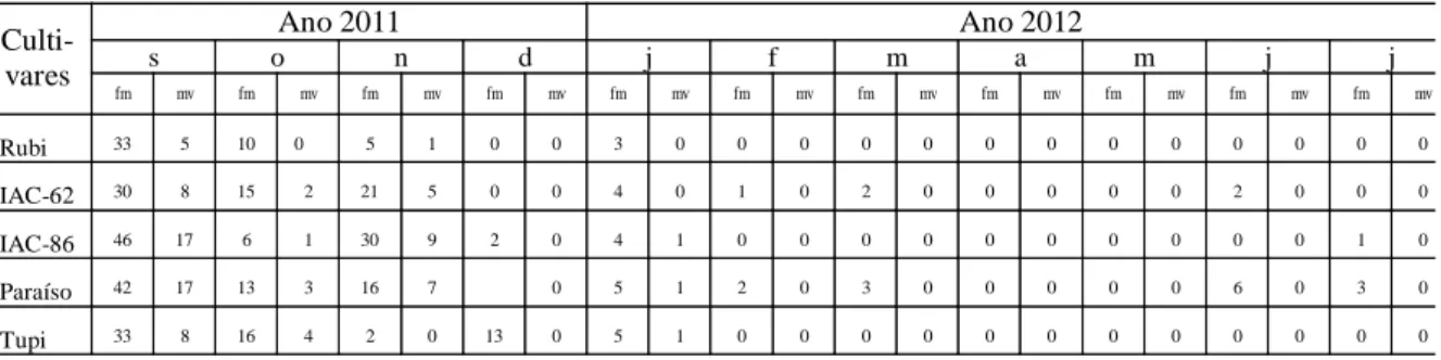 Tabela 1: Porcentagem média de ocorrência de bicho mineiro em cultivares de café arábica, Ibatiba, ES -  2011 a 2012   Culti-vares  Ano 2011  Ano 2012 s o n d j f m a  m  j  j  fm  mv  fm  mv  fm  mv  fm  mv  fm  mv  fm  mv  fm  mv  fm  mv  fm  mv  fm  mv 