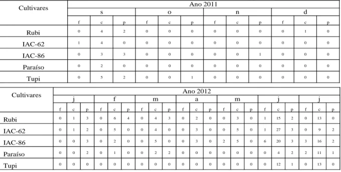 Tabela  2:  Porcentagem  média  de  incidência  de  ferrugem,  mancha  de  cercóspora  e  phoma  em  cultivares  de  café  arábica, Ibatiba, ES - 2011 a 2012  Cultivares  Ano 2011  s  o  n  d  f  c  p  f  c  p  f  c  p  f  c  p  Rubi  0  4  2  0  0  0  0  