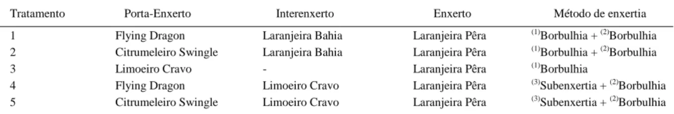 Tabela 1 - Tratamentos propostos para formação de mudas de laranjeira Pera com interenxerto de Limoeiro Cravo (LC) ou de laranjeira Bahia.