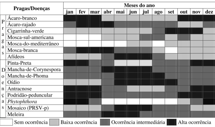 Tabela 5 Época de ocorrência e incidência das principais pragas e doenças do mamoeiro  no Estado do Espírito Santo 