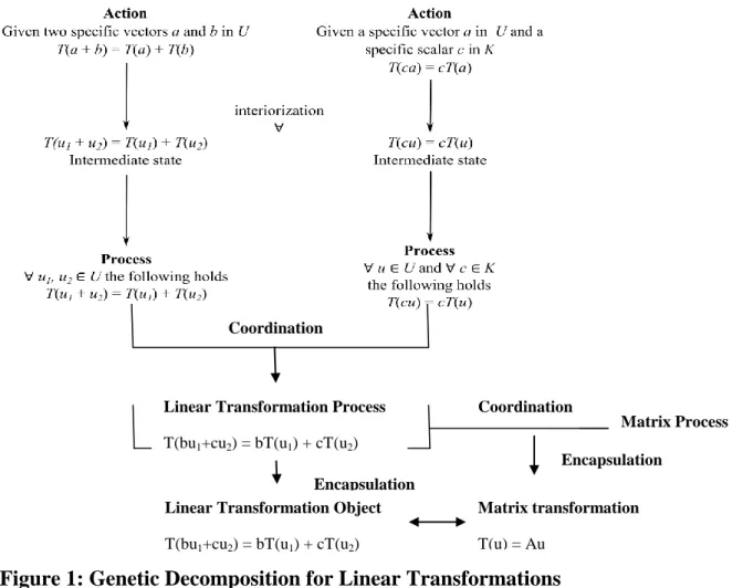 Figure 1: Genetic Decomposition for Linear Transformations 